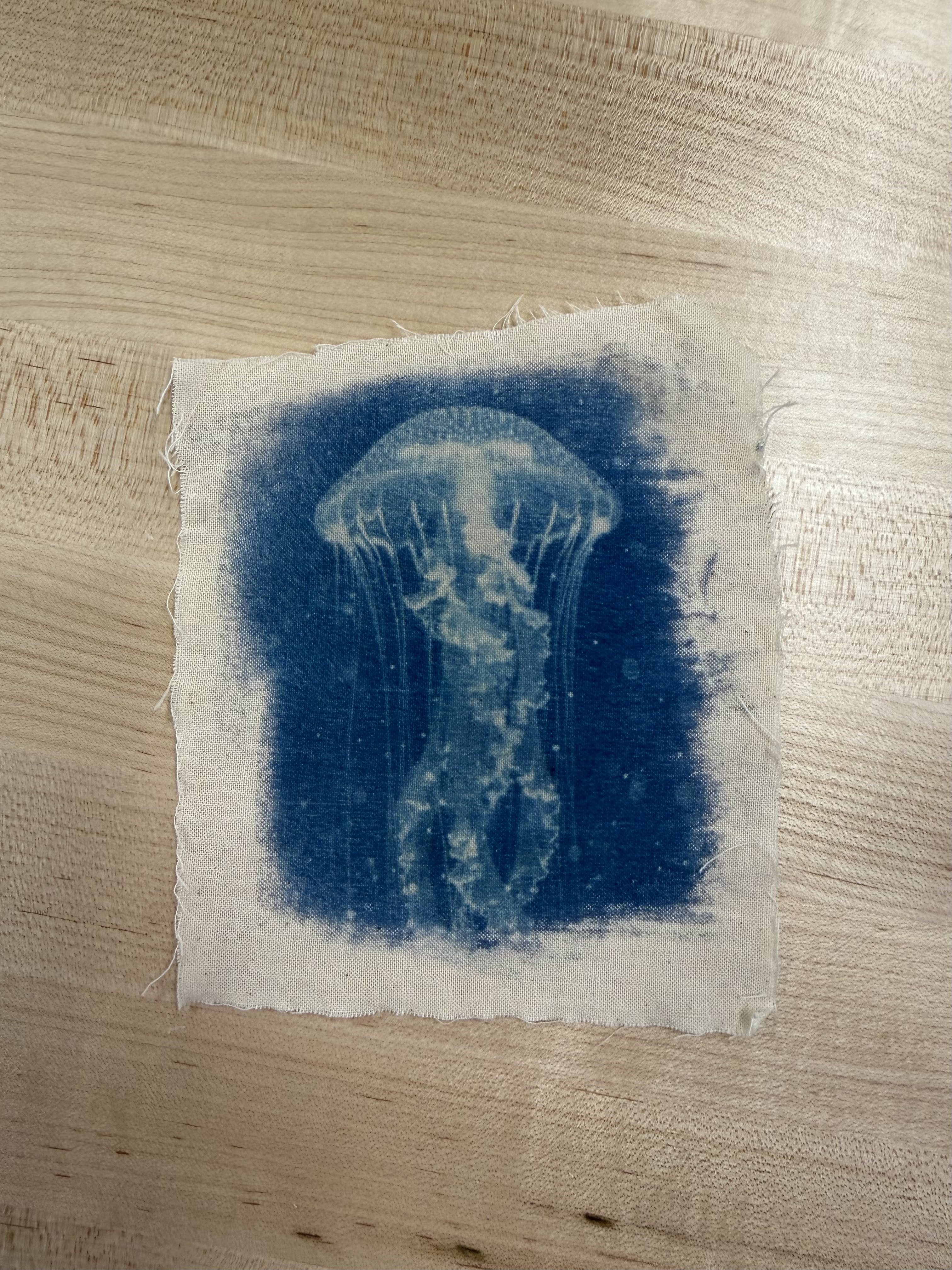 Cyanotype workshop